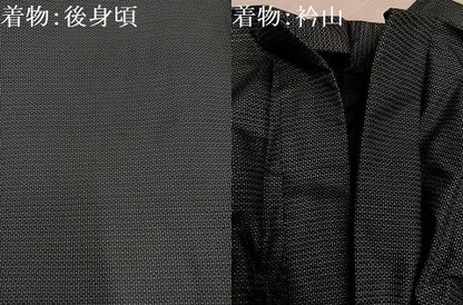 平和屋着物●男性　本場大島紬　アンサンブル　長襦袢(袷)セット　100亀甲　総詰め　正絹　逸品　AABJ0136ph