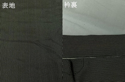 平和屋着物＊夏物 男性 お召 縞 黒地 正絹 逸品 AABJ0168jh