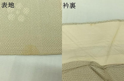 平和屋着物▽本塩沢　単衣　110亀甲　舞花文　正絹　逸品　AABJ0213jh