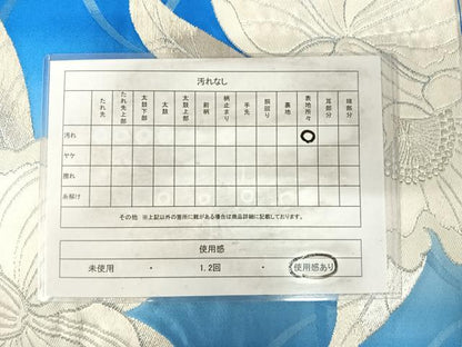 平和屋着物◎六通柄袋帯　唐織　草花文　銀糸　正絹　逸品　AABJ0431yx