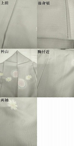 平和屋着物＊夏物　小紋　絽　舞花文　ほたる暈し　正絹　逸品　AABJ0808cs