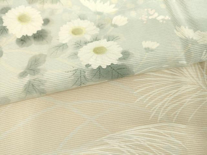平和屋着物＊夏物　訪問着　絽　手描き　枝花文　暈し染め　正絹　逸品　AABJ0809cs
