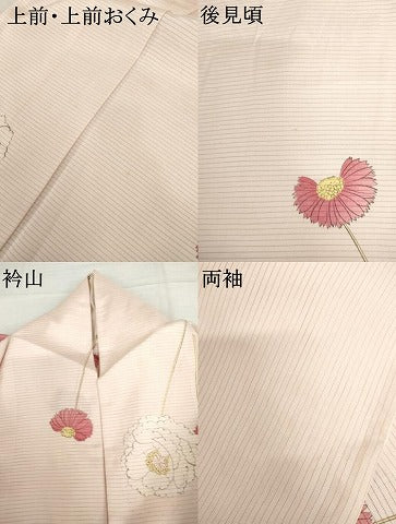 平和屋着物＊夏物　小紋　絽　手描き　枝花文　正絹　逸品　AABJ0814cs