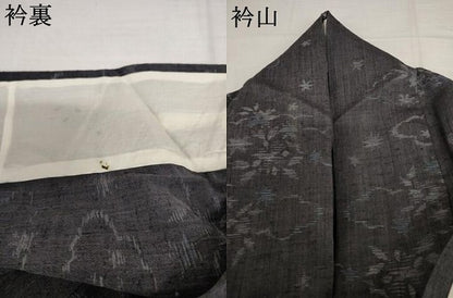 平和屋着物＊夏物　小紋　紗　雲取り草花文　AABJ0890cs