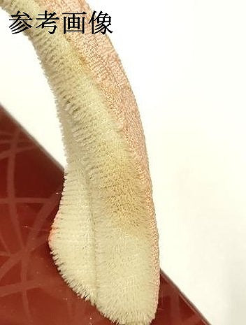 平和屋着物●和装小物　下駄　伊と忠　芝　逸品　未使用　AABJ1026ay