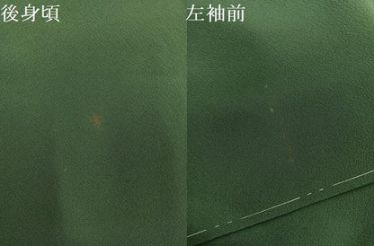 平和屋着物●文化功労者 日本画家　上村淳之　色無地　花鳥遊姿　老竹色　証紙付き　正絹　逸品　未使用　AABJ1260ph