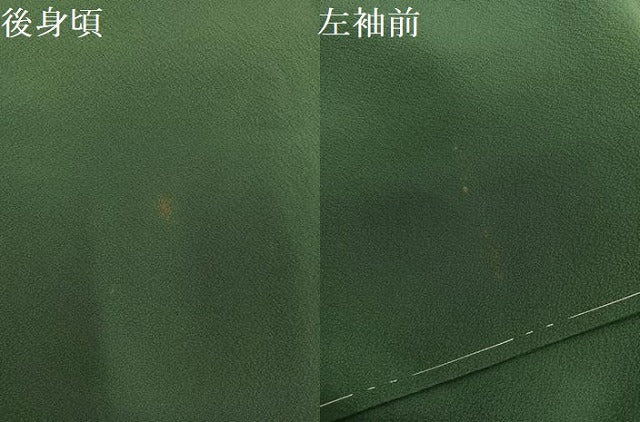 平和屋着物●文化功労者 日本画家　上村淳之　色無地　花鳥遊姿　老竹色　証紙付き　正絹　逸品　未使用　AABJ1260ph