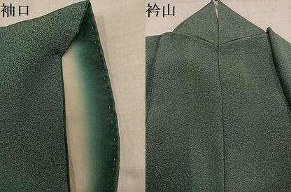平和屋着物●江戸小紋　寄せ小紋柄　正絹　逸品　AABJ1351ph