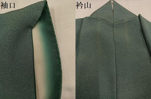 平和屋着物●江戸小紋　寄せ小紋柄　正絹　逸品　AABJ1351ph