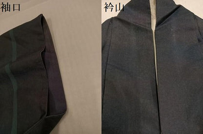 平和屋着物●訪問着　本場大島紬　染大島　舞葉文　暈し染め　金彩　正絹　逸品　AABJ1389ph