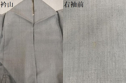 平和屋着物●本場結城紬　重要無形文化財　色無地　蕎麦切色　胴抜き仕立て　正絹　逸品　AABJ1394ph