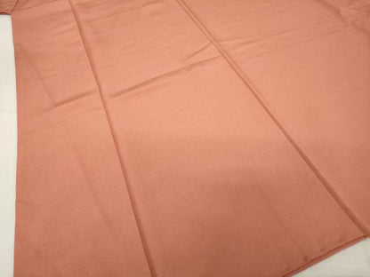 平和屋着物●江戸小紋　極小鮫小紋柄　正絹　逸品　AABJ1512ck