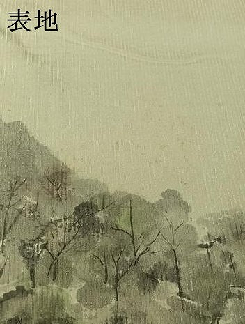 平和屋着物▽訪問着　単衣　紬地　作家物　手描き　風景文　正絹　逸品　AABJ1549jh
