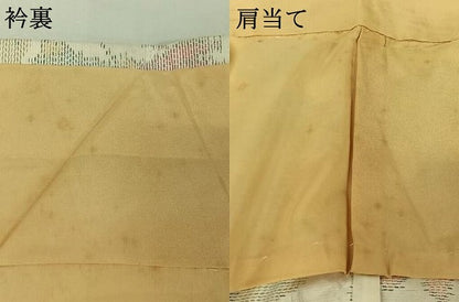 平和屋着物▽本場大島紬　白大島　単衣　草花文　正絹　逸品　AABJ1581jh