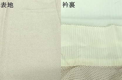 平和屋着物▽本塩沢　単衣　蚊絣　正絹　逸品　AABJ1607jh