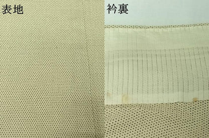 平和屋着物▽本塩沢　単衣　蚊絣　正絹　逸品　AABJ1616jh