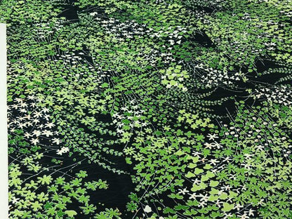 平和屋着物▽上質な小紋　単衣　草花文　黒地　正絹　逸品　AABJ1662jh