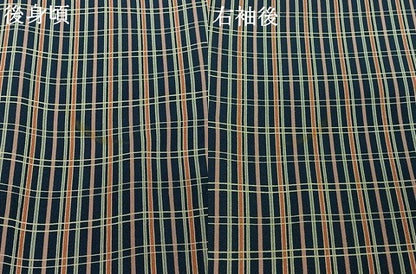 平和屋着物▽上質な小紋　単衣　格子　正絹　逸品　AABJ1683jh