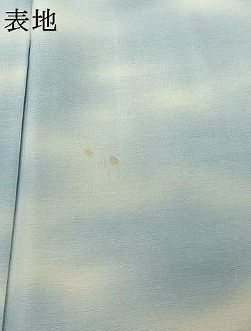 平和屋着物▽上質な紬　単衣　霞文　暈し染め　正絹　逸品　AABJ1793jh