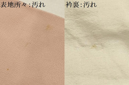 平和屋着物■上質な小紋　刺繍　草花文　銀糸　正絹　逸品　AABJ1850sx