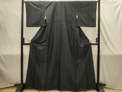 平和屋着物■本場大島紬　間道　正絹　逸品　AABJ1892sx