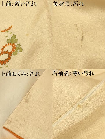 平和屋着物■訪問着　刺繍　草花文　金糸　金彩　正絹　逸品　AABJ1933sx