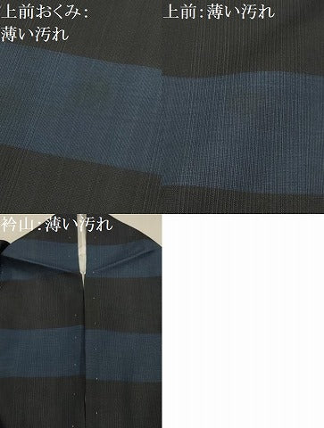 平和屋着物■本場縞大島紬　横段文　正絹　逸品　AABJ1951sx