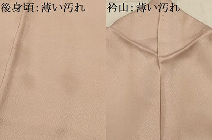 平和屋着物■訪問着　刺繍　正倉院花文　ロング丈　正絹　逸品　AABJ1972sx