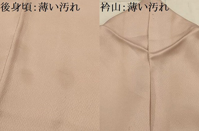 平和屋着物■訪問着　刺繍　正倉院花文　ロング丈　正絹　逸品　AABJ1972sx