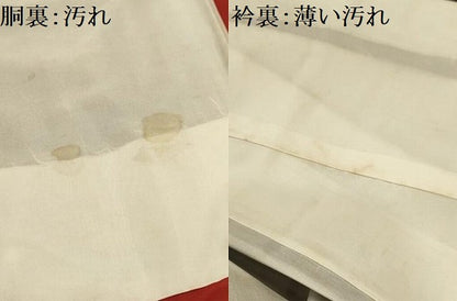 平和屋着物■本場大島紬　流水花文　黒地　正絹　逸品　AABJ1980sx