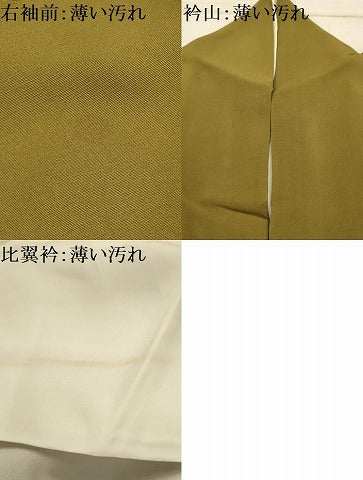 平和屋着物■豪華色留袖　刺繍　松　金糸　金彩　正絹　逸品　AABJ1991sx