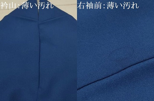平和屋着物■訪問着　花蝶文　暈し染め　正絹　逸品　AABJ1998sx
