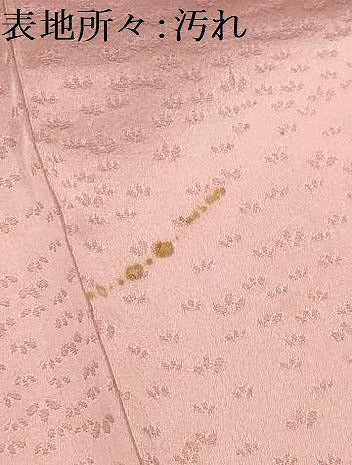 平和屋着物■上質な小紋　地紋起こし　舞花文　寿光織　金糸　正絹　逸品　AABJ2000sx
