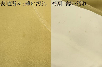 平和屋着物■上質な小紋　草花文　地紋起こし　暈し染め　正絹　逸品　AABJ2024sx