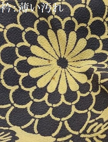 平和屋着物■上質な小紋　型染め　菊唐草文　鬼しぼ縮緬　正絹　逸品　AABJ2028sx