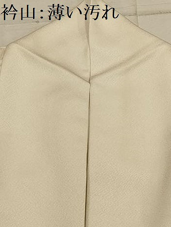 平和屋着物■訪問着　南天文　金彩　正絹　逸品　AABJ2051sx