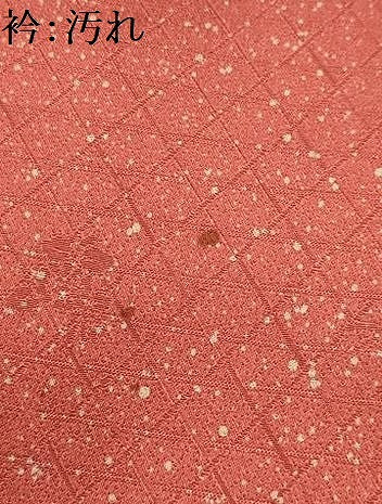 平和屋着物■訪問着　地紙花文　暈し染め　金銀彩　正絹　逸品　AABJ2052sx