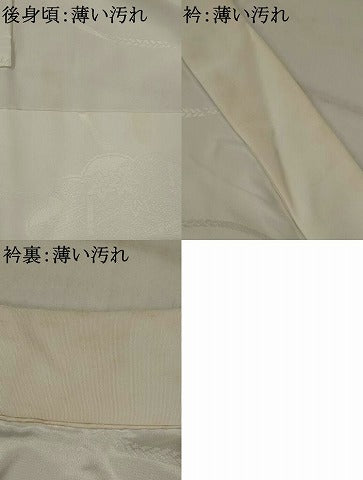 平和屋着物■長襦袢　無双仕立て　雲取り風景地紋　洗える着物　AABJ2206st