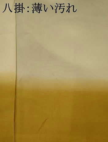 平和屋着物■訪問着　駒刺繍　地紙草花文　暈し染め　金銀彩　正絹　逸品　AABJ2207st