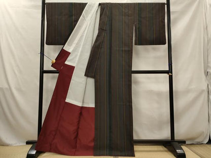 平和屋着物■本場縞大島紬　間道　正絹　逸品　AABJ2322st