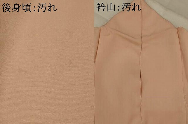平和屋着物■豪華色留袖　寿光織　女人花文　金糸　正絹　逸品　AABJ2359st