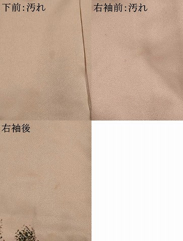 平和屋着物■訪問着　手描き　風景文　金彩　正絹　逸品　AABJ2370st