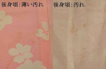 平和屋着物■長襦袢　袷　舞花文　暈し染め　正絹　逸品　AABJ2384st