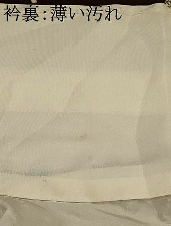 平和屋着物■訪問着　霞文　正絹　逸品　AABJ2389st