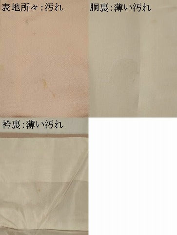 平和屋着物■訪問着　風景枝松文　暈し染め　金彩　正絹　逸品　AABJ2400st