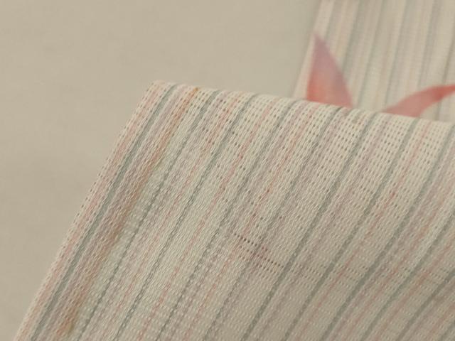 平和屋着物＊夏物　小紋　絽　花鳥文　洗える着物　AABJ2414jd
