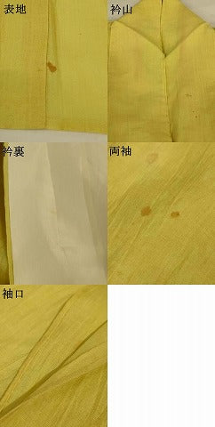 平和屋着物＊夏物　小千谷ちぢみ　枯草色　麻　逸品　AABJ2429jd