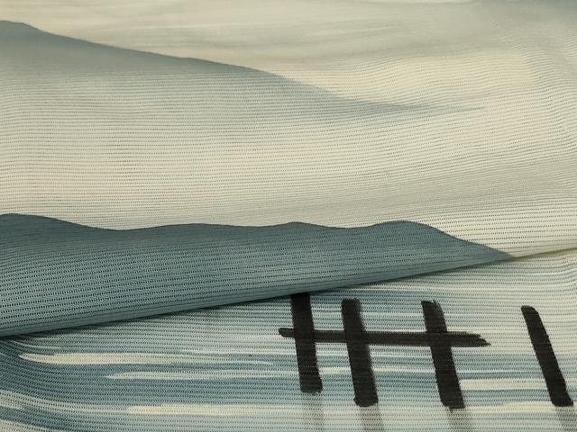 平和屋着物＊夏物　訪問着　絽　風景文　暈し染め　正絹　逸品　AABJ2435jd