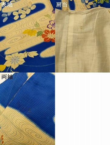 平和屋着物＊夏物　アンティーク　大正ロマン　小振袖　二尺袖　絽　草花文　正絹　逸品　AABJ2440jd
