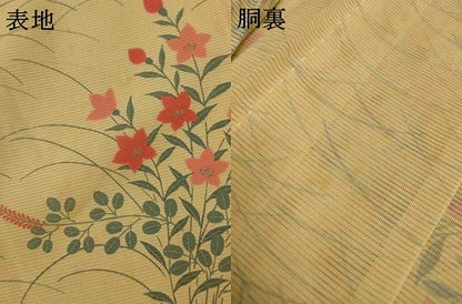 平和屋着物＊夏物　小紋　絽　草花文　正絹　逸品　AABJ2442jd